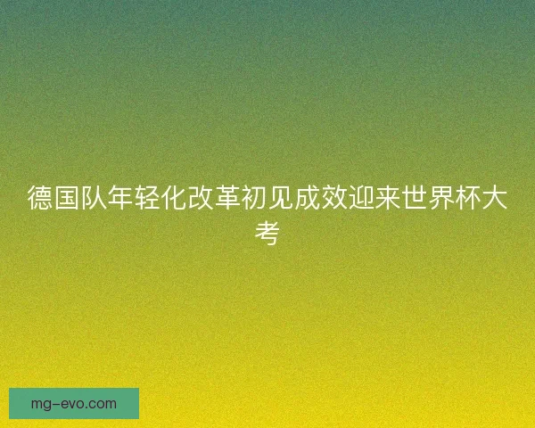 德国队年轻化改革初见成效迎来世界杯大考