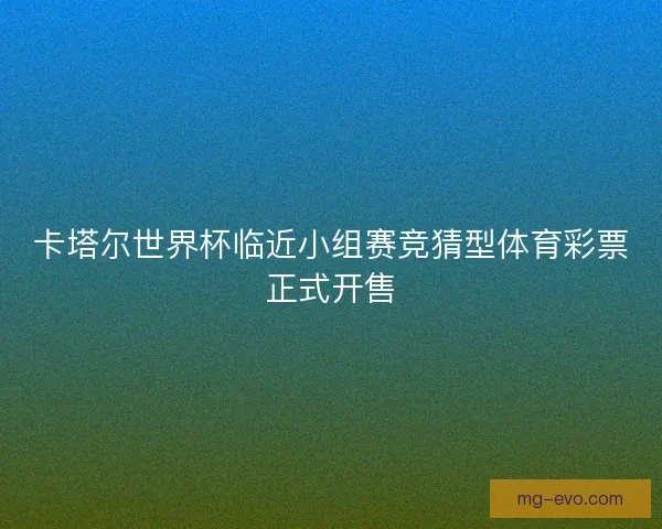 卡塔尔世界杯临近小组赛竞猜型体育彩票正式开售 卡塔尔世界杯临近小组赛竞猜型体育彩票正式开售