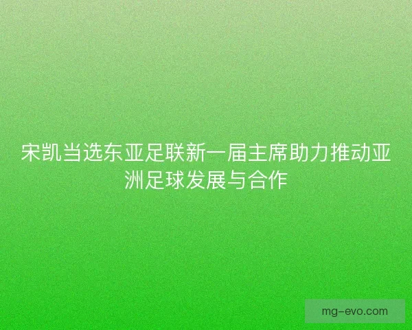 宋凯当选东亚足联新一届主席助力推动亚洲足球发展与合作
